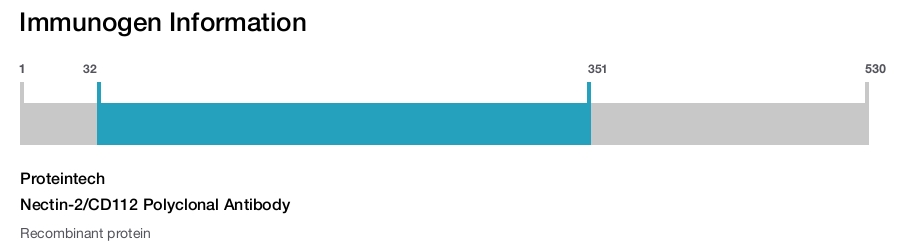 Nectin-2/CD112 Polyclonal Antibody
