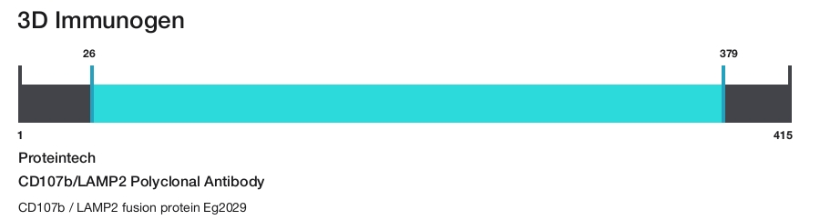 CD107b/LAMP2 Polyclonal Antibody