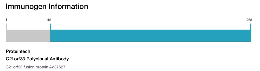 C21orf33 Polyclonal Antibody