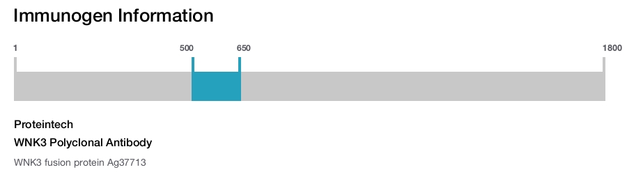 WNK3 Polyclonal Antibody
