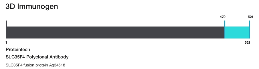 SLC35F4 Polyclonal Antibody