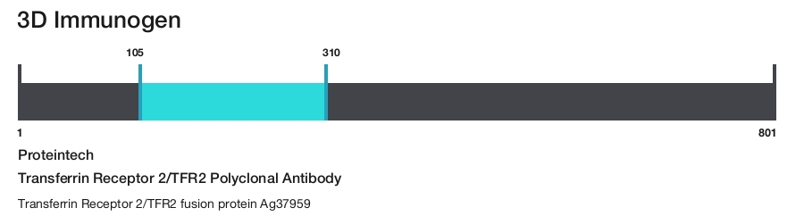 Transferrin Receptor 2/TFR2 Polyclonal Antibody
