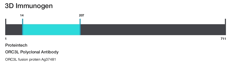 ORC3L Polyclonal Antibody