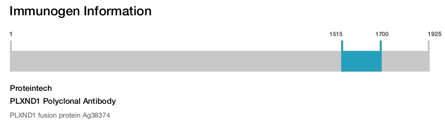 PLXND1 Polyclonal Antibody