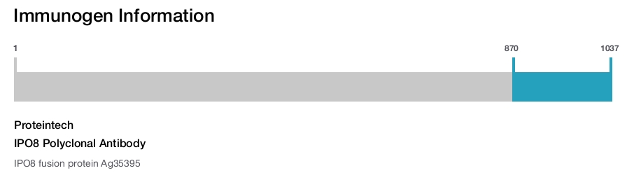 IPO8 Polyclonal Antibody