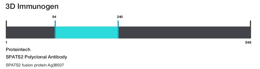SPATS2 Polyclonal Antibody