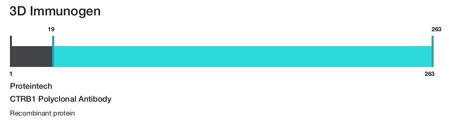 CTRB1 Polyclonal Antibody