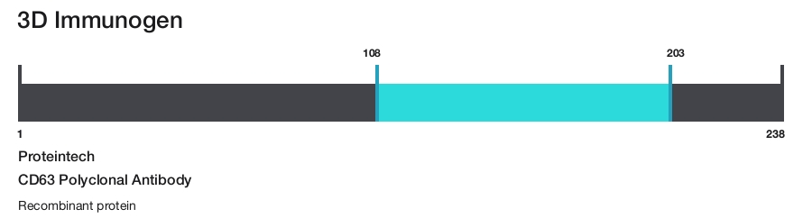 CD63 Polyclonal Antibody