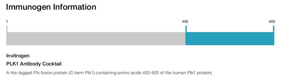PLK1 Antibody Cocktail
