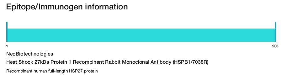 Heat Shock 27kDa Protein 1 Recombinant Rabbit Monoclonal Antibody (HSPB1/7038R)