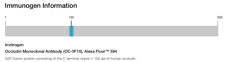 Occludin Monoclonal Antibody (OC-3F10), Alexa Fluor™ 594