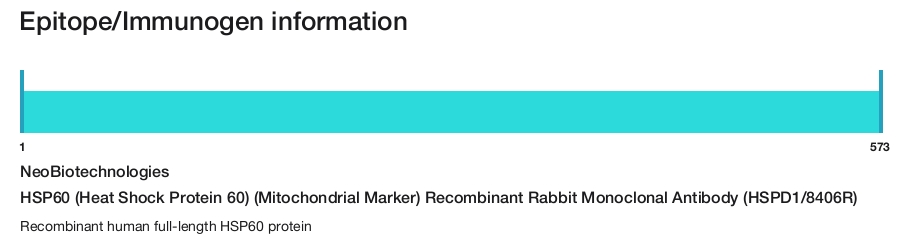HSP60 (Heat Shock Protein 60) (Mitochondrial Marker) Recombinant Rabbit Monoclonal Antibody (HSPD1/8406R)