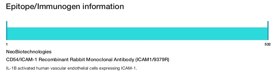 CD54/ICAM-1 Recombinant Rabbit Monoclonal Antibody (ICAM1/9379R)