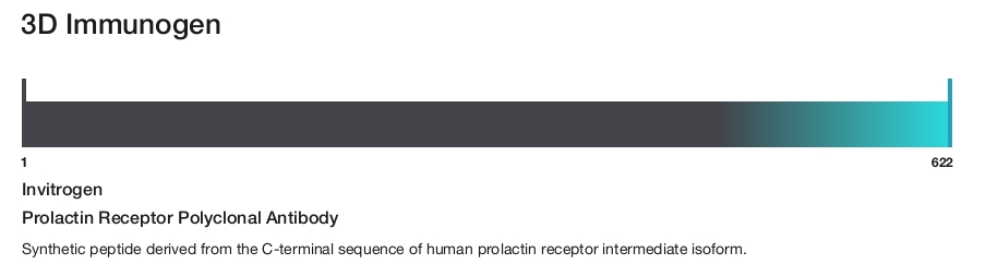 Prolactin Receptor Polyclonal Antibody