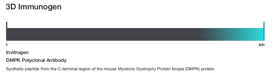 DMPK Polyclonal Antibody