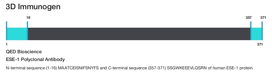 ESE-1 Polyclonal Antibody