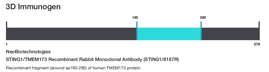 STING1/TMEM173 Recombinant Rabbit Monoclonal Antibody (STING1/8187R)