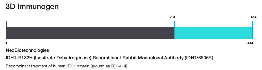 IDH1-R132H (Isocitrate Dehydrogenase) Recombinant Rabbit Monoclonal Antibody (IDH1/6806R)