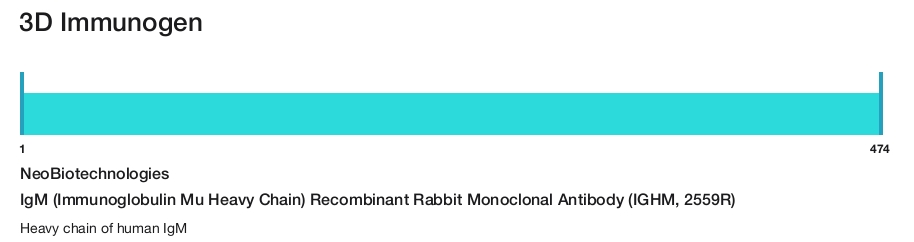 IgM (Immunoglobulin Mu Heavy Chain) Recombinant Rabbit Monoclonal Antibody (IGHM, 2559R)