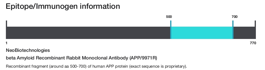 beta Amyloid Recombinant Rabbit Monoclonal Antibody (APP/9971R)