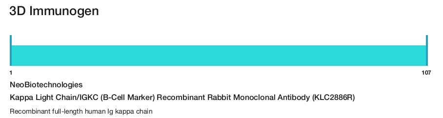 Kappa Light Chain/IGKC (B-Cell Marker) Recombinant Rabbit Monoclonal Antibody (KLC2886R)