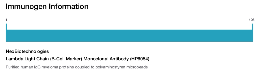 Lambda Light Chain (B-Cell Marker) Monoclonal Antibody (HP6054)