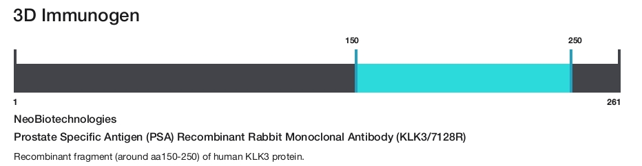Prostate Specific Antigen (PSA) Recombinant Rabbit Monoclonal Antibody (KLK3/7128R)