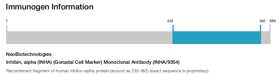 Inhibin, alpha (INHA) (Gonadal Cell Marker) Monoclonal Antibody (INHA/9354)