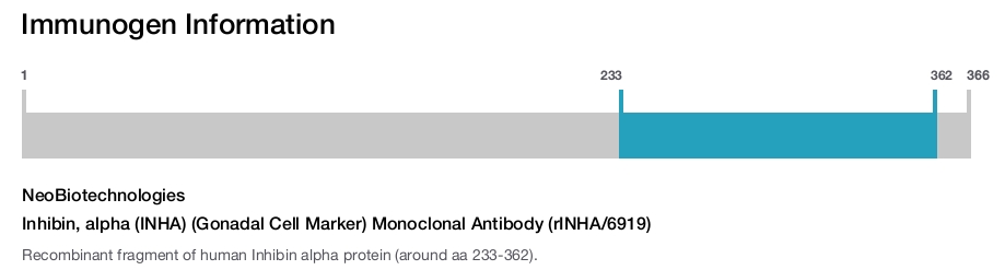 Inhibin, alpha (INHA) (Gonadal Cell Marker) Monoclonal Antibody (rINHA/6919)