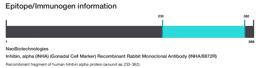 Inhibin, alpha (INHA) (Gonadal Cell Marker) Recombinant Rabbit Monoclonal Antibody (INHA/8872R)
