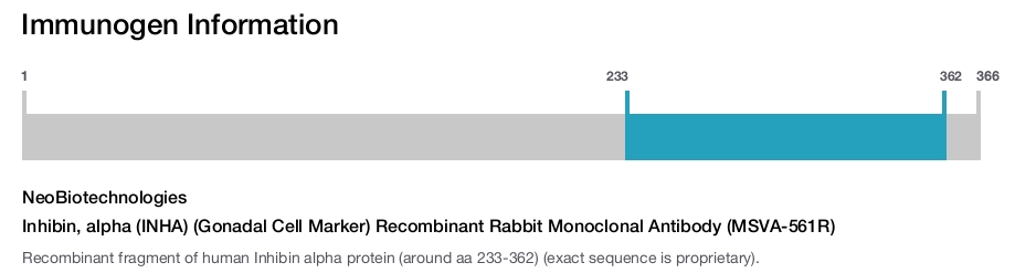 Inhibin, alpha (INHA) (Gonadal Cell Marker) Recombinant Rabbit Monoclonal Antibody (MSVA-561R)