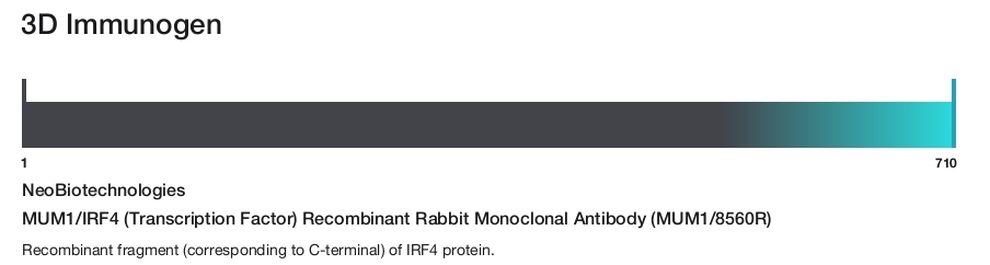 MUM1/IRF4 (Transcription Factor) Recombinant Rabbit Monoclonal Antibody (MUM1/8560R)