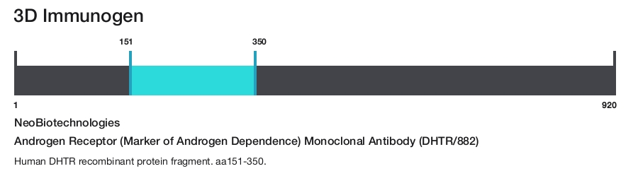 Androgen Receptor (Marker of Androgen Dependence) Monoclonal Antibody (DHTR/882)