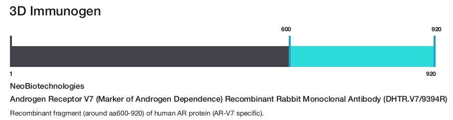 Androgen Receptor V7 (Marker of Androgen Dependence) Recombinant Rabbit Monoclonal Antibody (DHTR.V7/9394R)