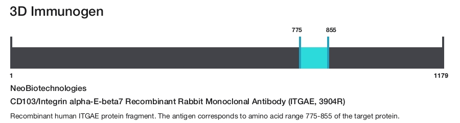 CD103/Integrin alpha-E-beta7 Recombinant Rabbit Monoclonal Antibody (ITGAE, 3904R)