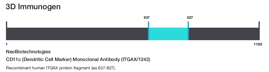 CD11c (Dendritic Cell Marker) Monoclonal Antibody (ITGAX/1242)