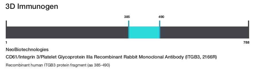 CD61/Integrin 3/Platelet Glycoprotein IIIa Recombinant Rabbit Monoclonal Antibody (ITGB3, 2166R)