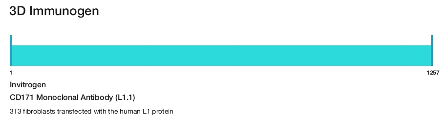 CD171 Monoclonal Antibody (L1.1)