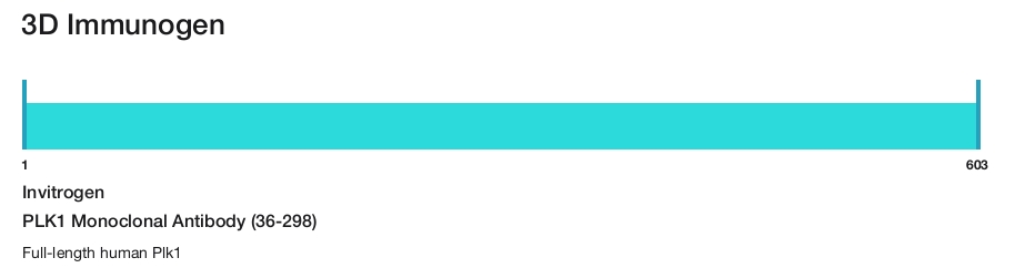 PLK1 Monoclonal Antibody (36-298)