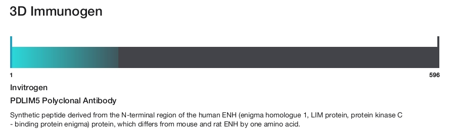 PDLIM5 Polyclonal Antibody