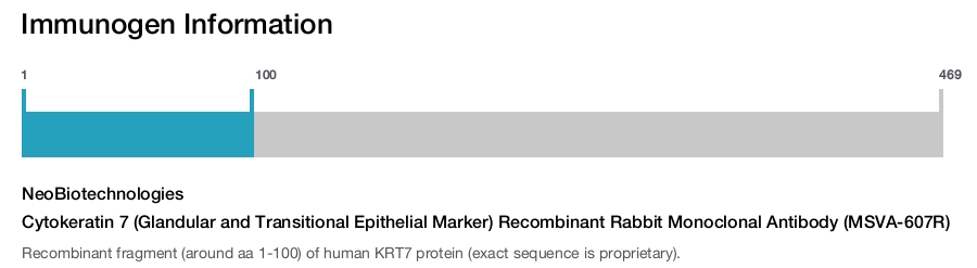 Cytokeratin 7 (Glandular and Transitional Epithelial Marker) Recombinant Rabbit Monoclonal Antibody (MSVA-607R)