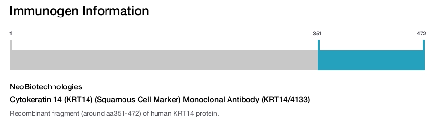 Cytokeratin 14 (KRT14) (Squamous Cell Marker) Monoclonal Antibody (KRT14/4133)