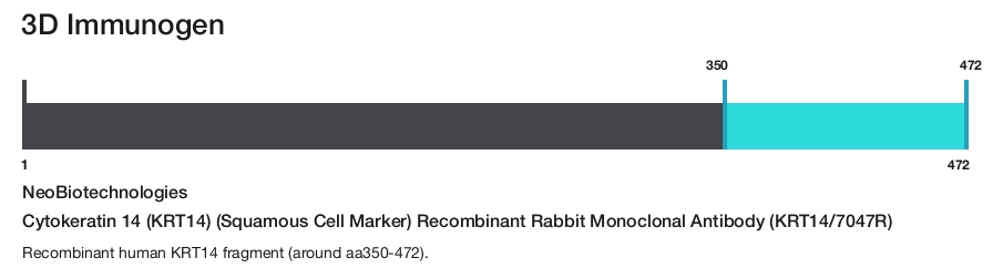 Cytokeratin 14 (KRT14) (Squamous Cell Marker) Recombinant Rabbit Monoclonal Antibody (KRT14/7047R)