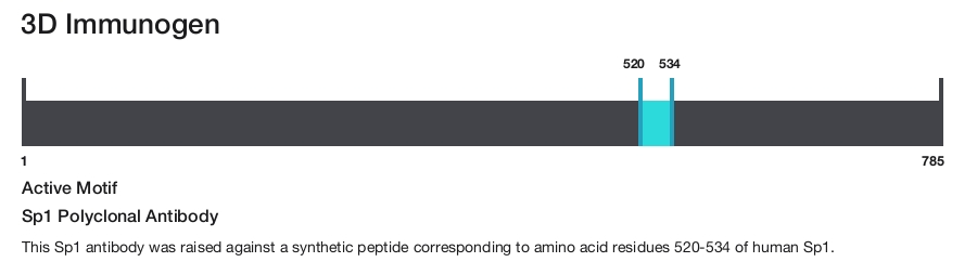 Sp1 Polyclonal Antibody