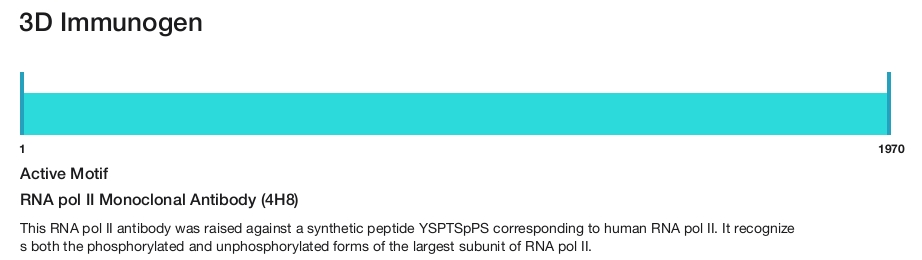 RNA pol II Monoclonal Antibody (4H8)