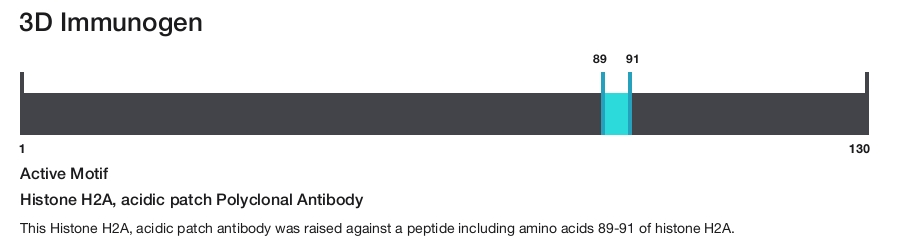 Histone H2A, acidic patch Polyclonal Antibody