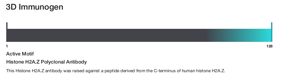 Histone H2A.Z Polyclonal Antibody