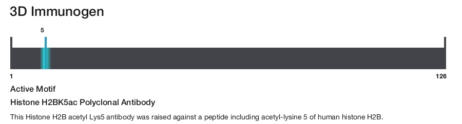 Histone H2BK5ac Polyclonal Antibody