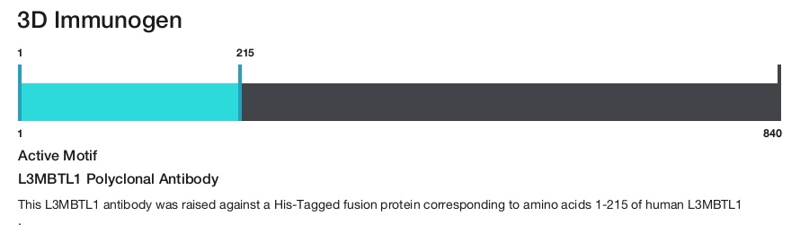 L3MBTL1 Polyclonal Antibody