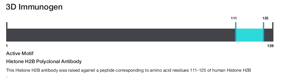 Histone H2B Polyclonal Antibody